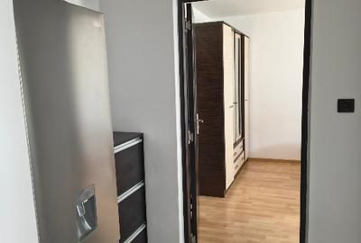 Apartament cu 2 camere decomandat în Lujerului - 9