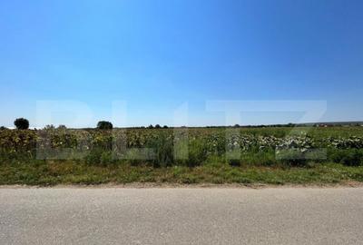 Teren 7.200 mp cu toate utilita?ile la front asfaltat, Ma - 2