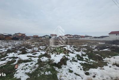 Spațiu comercial, în Dumbrăvița