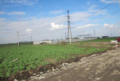 Teren Construcții intravilan de 2314 mp, în Domnești - 14