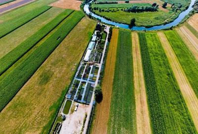 Teren Construcții intravilan de 12500 mp, în Chichiș - 2