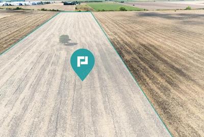 Teren extravilan, zona Freidorf-Sagului, Timisoara Teren extravilan, zona Freidorf-Sagului, Timisoara - 1