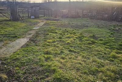 Teren în Cetariu - 2