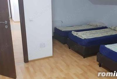 Cazare muncitori in dumbravita - 2