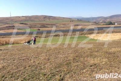 Teren de 5500 mp, în Stejeriș - 4