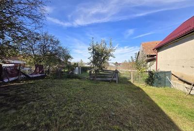 Case de vanzare in Mandra - 5