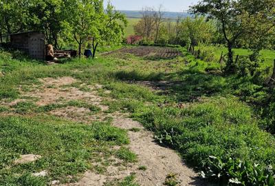 Casă cu 3 camere în Gorban - 4