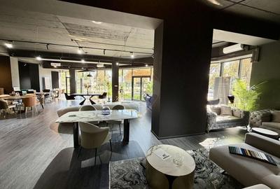 Spatiu comercial 270mp de inchiriat in zona Nord Spatiu comercial 270mp de inchiriat in zona Nord - 17