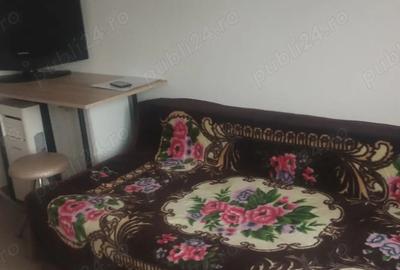 Garsonieră semidecomandată în Nufărul - 3