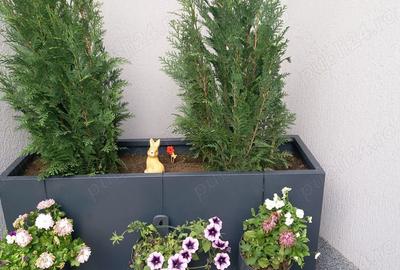 Casă cu 2 camere cu Teren 40 Mp în Pantelimon - 6