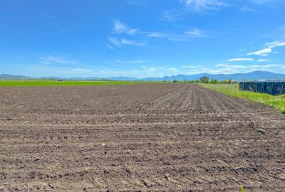 Teren intravilan, 1.7 hectare, Stupini Strada Barsei - 9