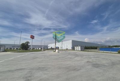 Teren Construcții intravilan de 30994 mp, în Bolintin-Deal - 5