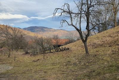 Teren în Bran - 1