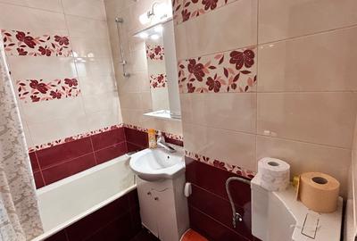 Iancului - Liceul Iulia Hasdeu - 6