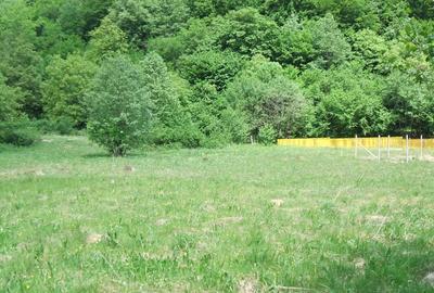 Raul Mare Retezat, Parcul National Retezat, Judetul Hunedoara - 5