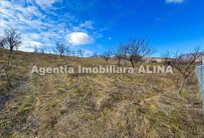 Teren în Călugareni - 1