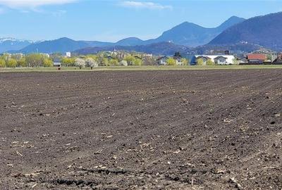 50.000mp teren intravilan, Clasa Master,  in Brasov spre Stupini - 2