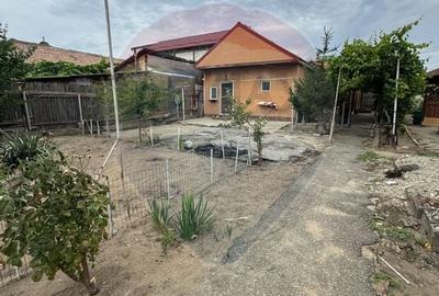 Casa / Vila cu 4 camere de vanzare in zona Brestei - 13