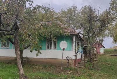 Casă cu 2 camere cu Teren 2100 Mp în Călărași - 6