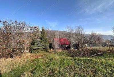 Casa de vacanta de vanzare, in Lisnau - Comuna Ozun - 4