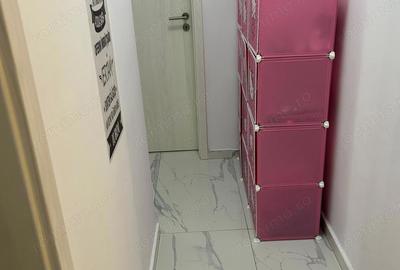 Apartament cu 2 camere etaju 1 ideal pentru investitie Braytim Giroc - 2