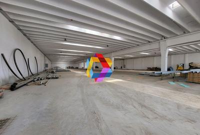 Spațiu industrial, de 1,300 mp, în Astra - 2