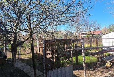 Casă cu 4 camere cu Teren 780 Mp în Urzicuța - 6