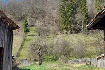 Casă cu 4 camere în Dragoslavele - 2