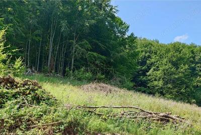 Teren de 5727 mp, în Buceș - 5