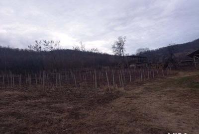 Vand Inchiriez casa la ttara Vand Inchiriez casa la ttara - 2