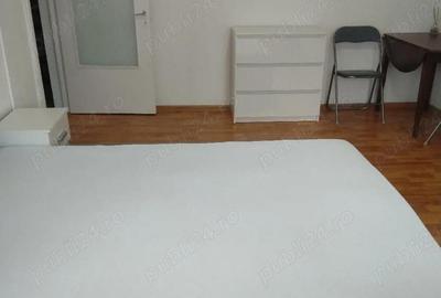 Garsonieră decomandată în Nicolina - 9