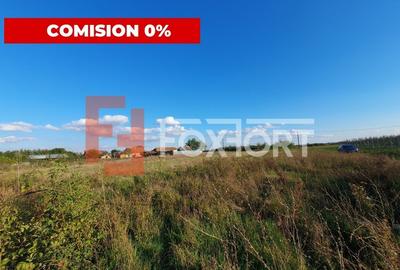 Comision 0% Teren intravilan de 3346 mp cu 2 fronturi - Jebel - 1