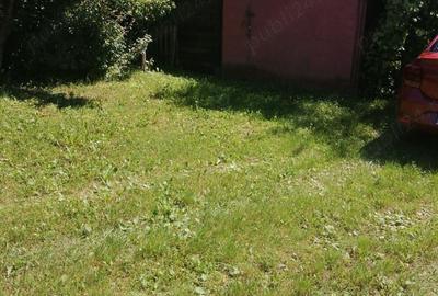 Proprietar-vand cabana cu livada teren mare-Stejeris-locatie deosebita - 3