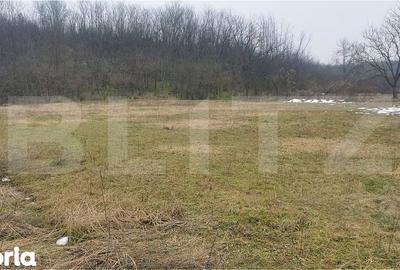 Teren de 2708 mp, în Valea - 3