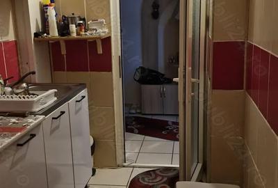 Vand apartament confort 2 , viziru 1 Pistruiatul - 12