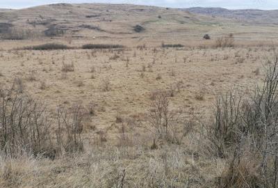 Teren de 12600 mp, în Feiurdeni - 2