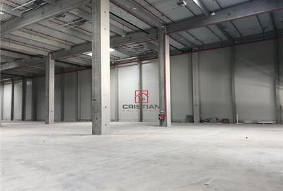 Depozit/hala/spatiu industrial Bolintin Deal - A1 - KM23 - 11