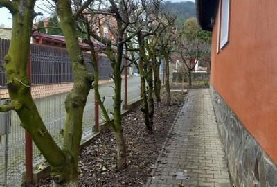 Casă cu 3 camere cu Teren 500 Mp în Central - 2