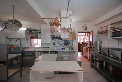 Casă cu 10 camere cu Teren 515 Mp în Vârtop - 15