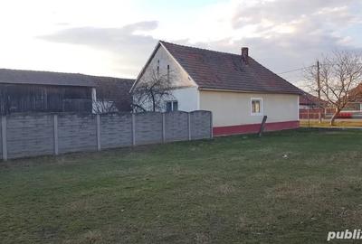 Casa de vanzare , judetul timis Casa de vanzare , judetul timis - 4