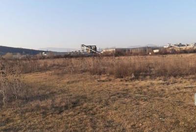Teren de 8000 mp, în Central - 5