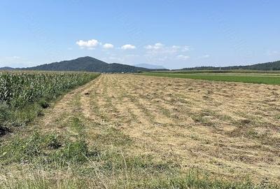 Teren de 5000 mp, în Hărman