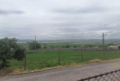 Casă cu 4 camere cu Teren 3046 Mp în Zebil - 1