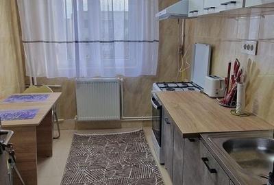 Doua camere, mobilat utilat, zona Piata Brotacei - 5