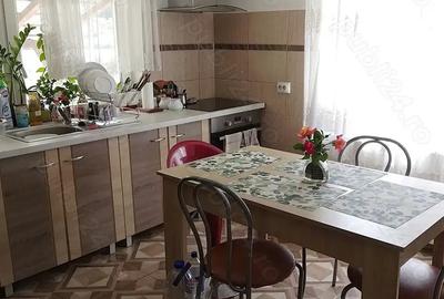 Casa din 2019 cu 4300 mp intravilan, livada bio ?i vie la 45 min de Cluj Casa din 2019 cu 4300 mp intravilan, livada bio ?i vie la 45 min de Cluj - 4