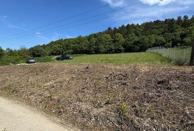 Spațiu comercial, în Iclozel - 7