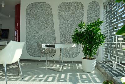 Penthouse cu 4 camere decomandat, mobilat în Floreasca - 10