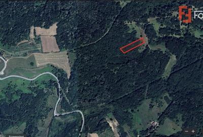 COMISION 0% Teren extravilan inconjurat de padure in Resita - ID V5495 COMISION 0% Teren extravilan inconjurat de padure in Resita - ID V5495 - 1