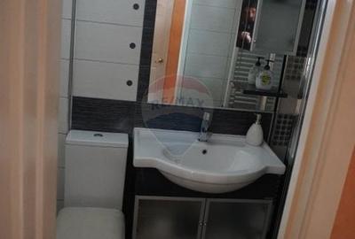 Casă individuală cu 5 camere cu Canalizare în Moisei - 52