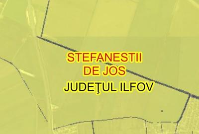 Teren Construcții intravilan de 38500 mp, în Ștefăneștii de Jos - 1